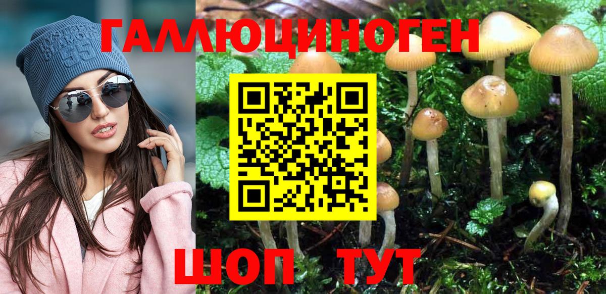 Псилоцибиновые грибы Magic Shrooms  Вход с VPN  Пенза 