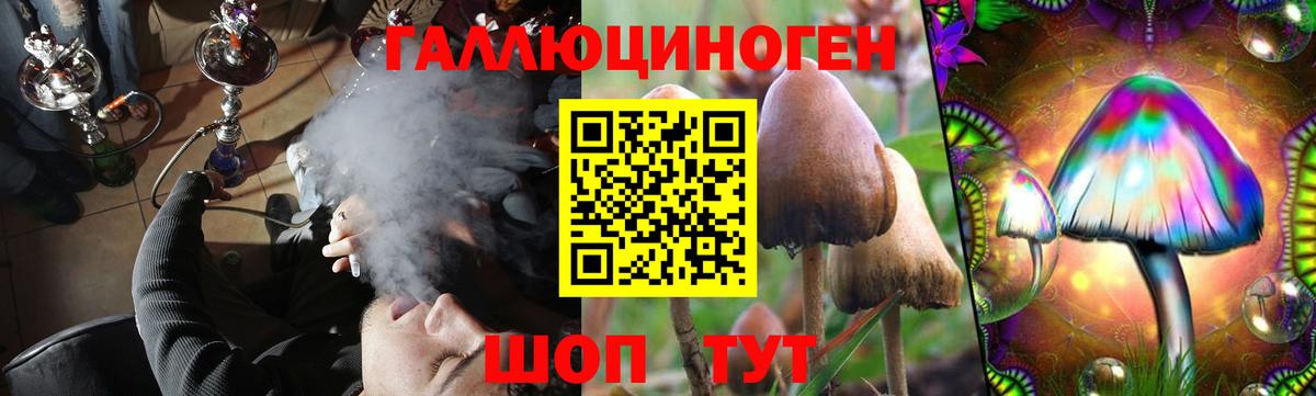 Псилоцибиновые грибы ЛСД Пенза